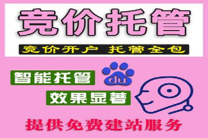 某知名企业SEM代运营全流程解析